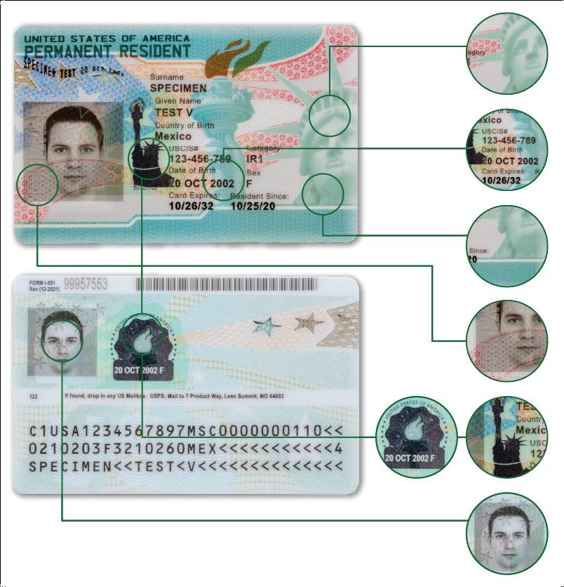 Sample of the US Permanent Resident Card (green card)